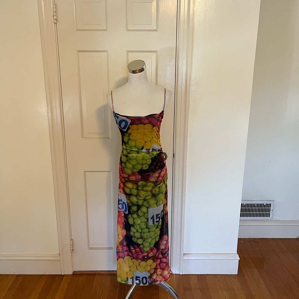 NWT Zara Fruit Themed Mesh Dress Size Small